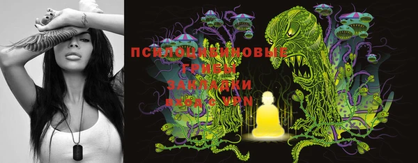спайс Алексин