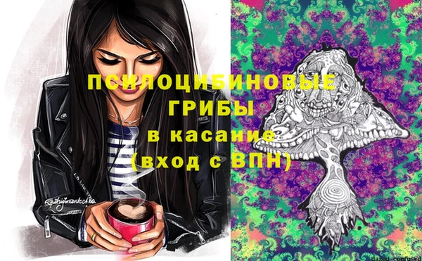 спайс Алексин