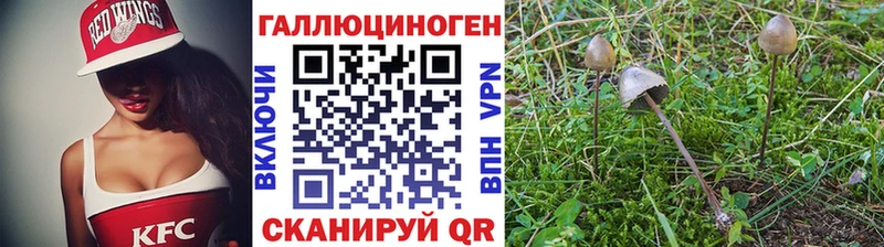 KRAKEN как зайти Инсар Псилоцибиновые грибы мухоморы